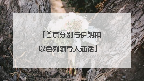 普京分别与伊朗和以色列领导人通话