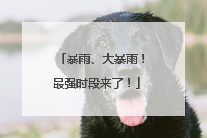 暴雨、大暴雨！最强时段来了！
