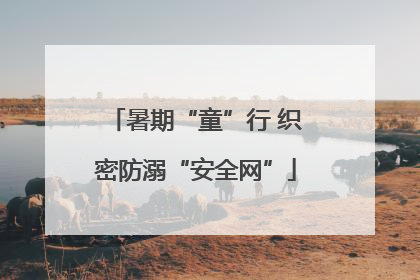 暑期“童”行 织密防溺“安全网”