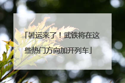 暑运来了！武铁将在这些热门方向加开列车