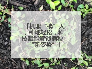 机器“换”人，种地轻松，科技赋能解锁插秧“新姿势”