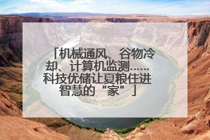 机械通风、谷物冷却、计算机监测……科技优储让夏粮住进智慧的“家”