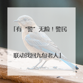 有“警”无险！警民联动找回九旬老人