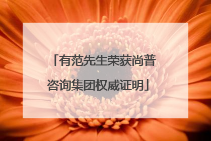 有范先生荣获尚普咨询集团权威证明
