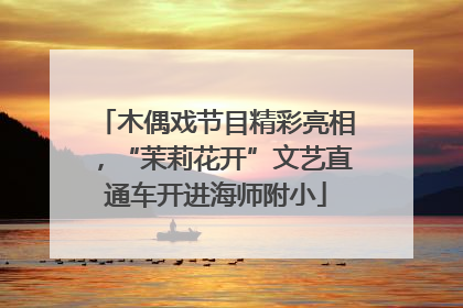 木偶戏节目精彩亮相，“茉莉花开”文艺直通车开进海师附小