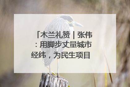 木兰礼赞｜张伟：用脚步丈量城市经纬，为民生项目按下“加速键”