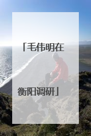 毛伟明在衡阳调研