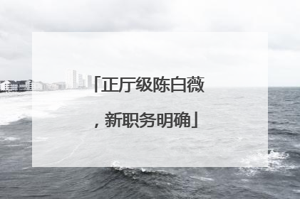 正厅级陈白薇，新职务明确