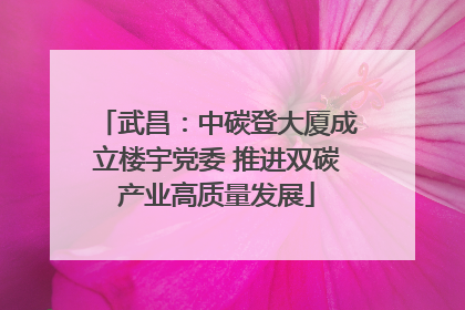 武昌：中碳登大厦成立楼宇党委 推进双碳产业高质量发展