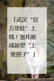 武汉“官方带娃”上线！暑托班成新型“上班搭子”