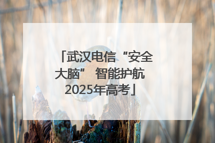 武汉电信“安全大脑” 智能护航2025年高考