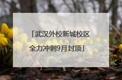 武汉外校新城校区全力冲刺9月封顶