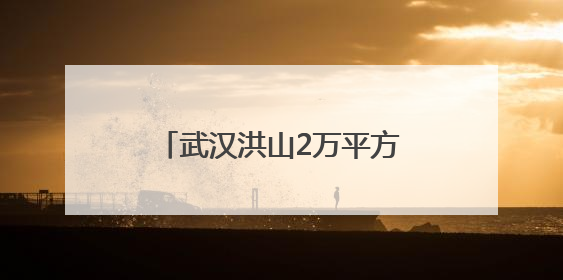 武汉洪山2万平方米向日葵花海盛放吸引市民驻足拍照