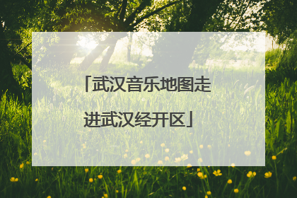 武汉音乐地图走进武汉经开区