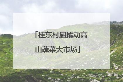 桂东村厨撬动高山蔬菜大市场
