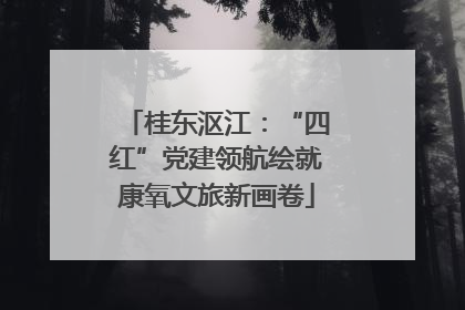 桂东沤江：“四红”党建领航绘就康氧文旅新画卷