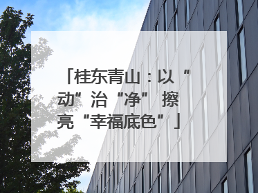 桂东青山：以“动”治“净” 擦亮“幸福底色”