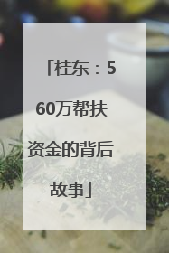 桂东：560万帮扶资金的背后故事