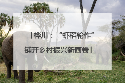 桦川：“虾稻轮作”铺开乡村振兴新画卷