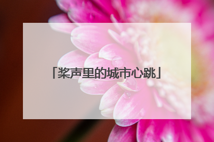 桨声里的城市心跳