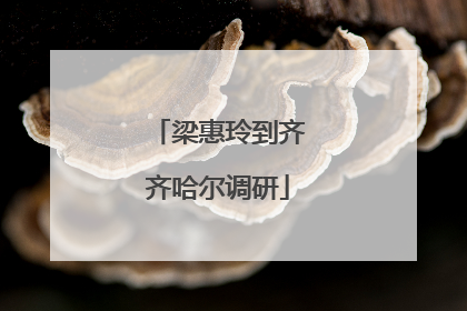 梁惠玲到齐齐哈尔调研