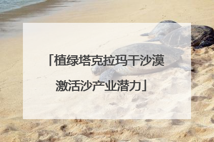 植绿塔克拉玛干沙漠 激活沙产业潜力