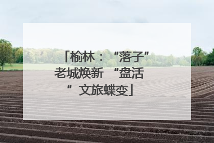 榆林：“落子”老城焕新 “盘活”文旅蝶变