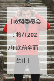 欧盟委员会：将在2027年底前全面禁止