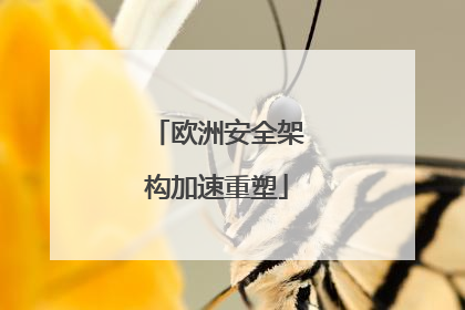 欧洲安全架构加速重塑