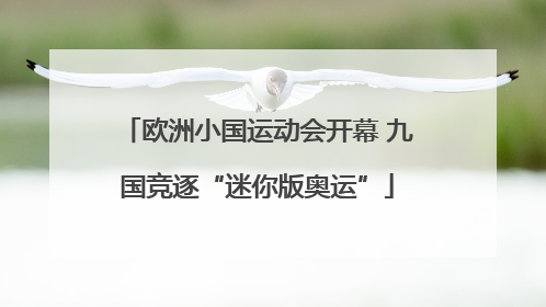 欧洲小国运动会开幕 九国竞逐“迷你版奥运”
