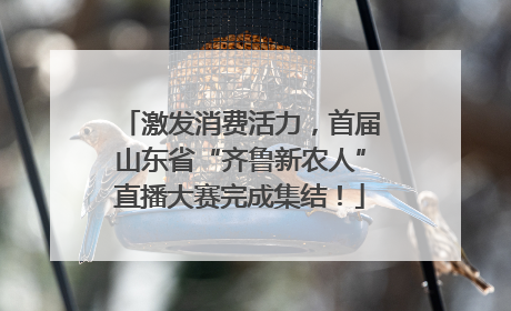 激发消费活力，首届山东省“齐鲁新农人”直播大赛完成集结！