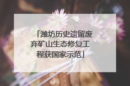 潍坊历史遗留废弃矿山生态修复工程获国家示范