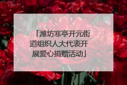 潍坊寒亭开元街道组织人大代表开展爱心捐赠活动