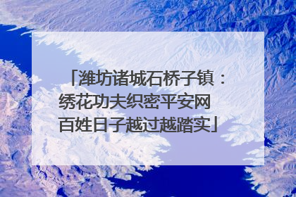 潍坊诸城石桥子镇：绣花功夫织密平安网 百姓日子越过越踏实