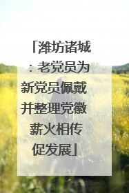 潍坊诸城：老党员为新党员佩戴并整理党徽 薪火相传促发展