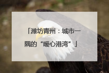 潍坊青州：城市一隅的“暖心港湾”