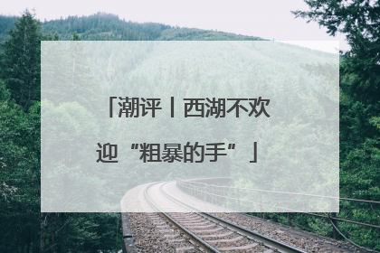 潮评丨西湖不欢迎“粗暴的手”