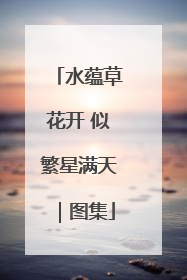 水蕴草花开 似繁星满天｜图集