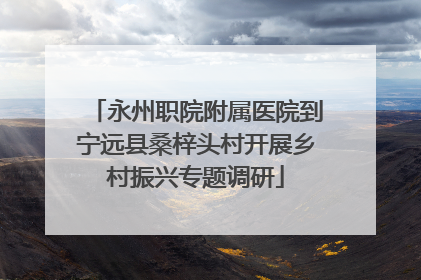 永州职院附属医院到宁远县桑梓头村开展乡村振兴专题调研