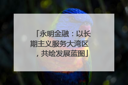 永明金融：以长期主义服务大湾区，共绘发展蓝图