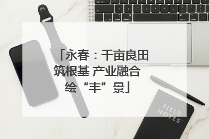 永春：千亩良田筑根基 产业融合绘“丰”景
