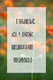 氢能试点！国家能源局重要通知