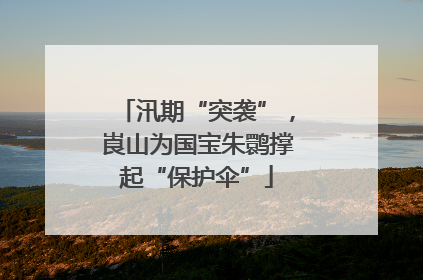 汛期“突袭”，崀山为国宝朱鹮撑起“保护伞”