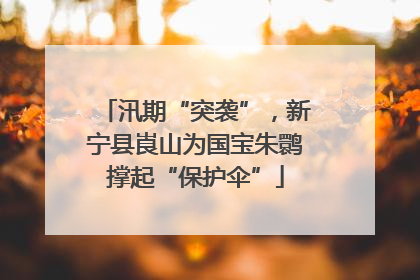 汛期“突袭”，新宁县崀山为国宝朱鹮撑起“保护伞”