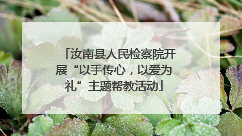 汝南县人民检察院开展“以手传心，以爱为礼”主题帮教活动