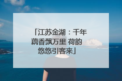 江苏金湖：千年藕香飘万里 荷韵悠悠引客来