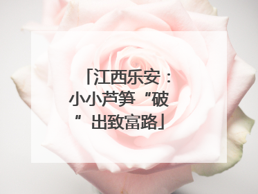 江西乐安：小小芦笋“破”出致富路