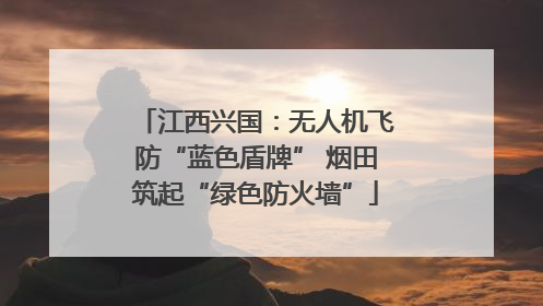 江西兴国：无人机飞防“蓝色盾牌” 烟田筑起“绿色防火墙”