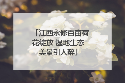 江西永修百亩荷花绽放 湿地生态美景引人醉
