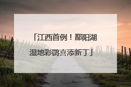 江西首例！鄱阳湖湿地彩鹮喜添新丁